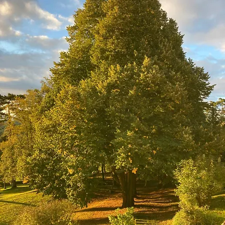 Castel Serein Bed & Breakfast 3*